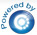 DSE Logo