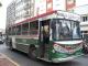 LINEA 504 (Verde) 