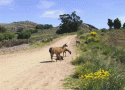 Reserva Natural Sierra del Tigre