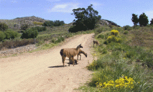 Reserva Natural Sierra del Tigre